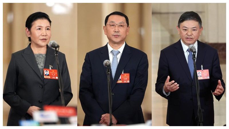 一座岛屿的蜕变:当封关红利照进普通人的日常生活 文化旅游