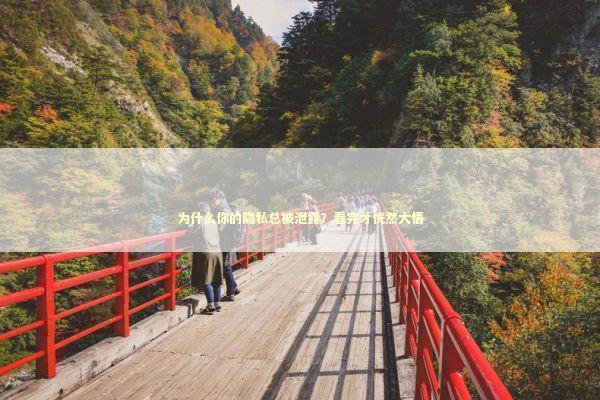 为什么你的隐私总被泄露?看完才恍然大悟 为什么你的隐私总被泄露?看完才恍然大悟 手机评测