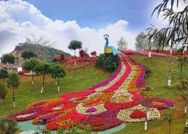  春光无限好，消费热潮涌；花海飘琴声，野菜上餐桌 文化旅游