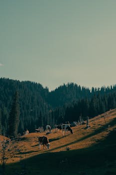  数字人民币试点加速演进；各地成绩单相继出炉，深耕路径各具特色。 股票财经 数字人民币试点加速演进；各地成绩单相继出炉，深耕路径各具特色。 股票财经