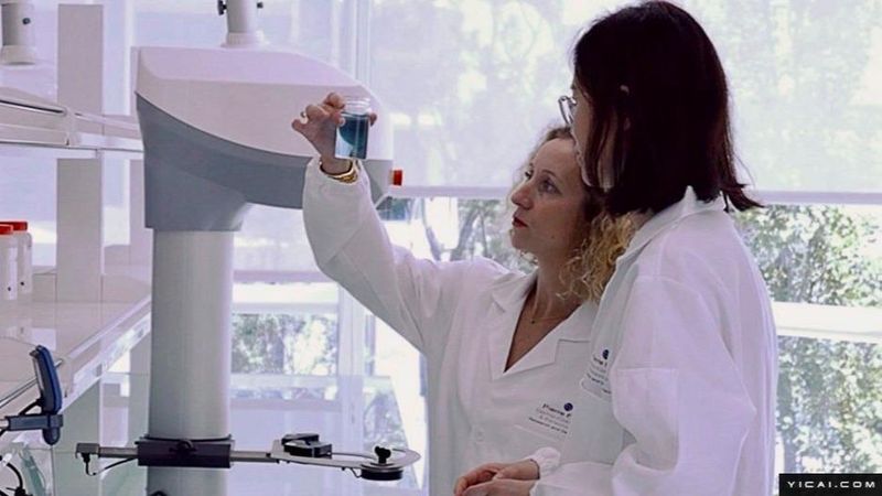  数据资产登记指南：如何获取上海知识产权登记试点认证 IT技术