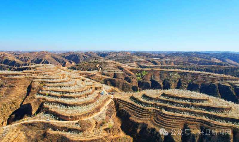  【深度解析】千亩梨园产业密码：狮子洼村农旅融合发展的技术路径 文化旅游 【深度解析】千亩梨园产业密码：狮子洼村农旅融合发展的技术路径 文化旅游