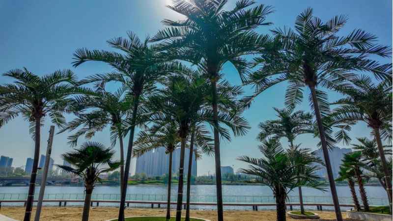  菏泽黄金海岸二期深度解密：三大度假场景如何重构城市居住体验 房产家居