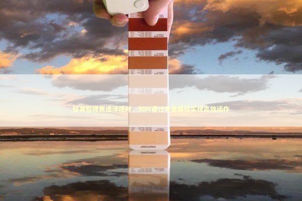 贸易管理焦虑浮现时，如何通过专业路径实现高效运作