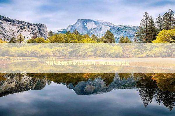 外贸从业者的数字化生存法则，如何打破语言壁垒