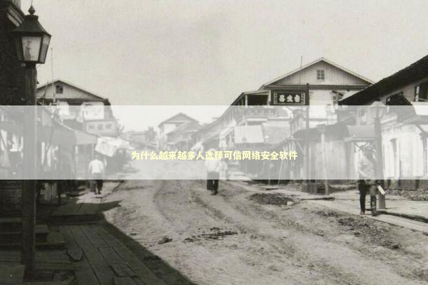 为什么越来越多人选择可信网络安全软件 IT技术