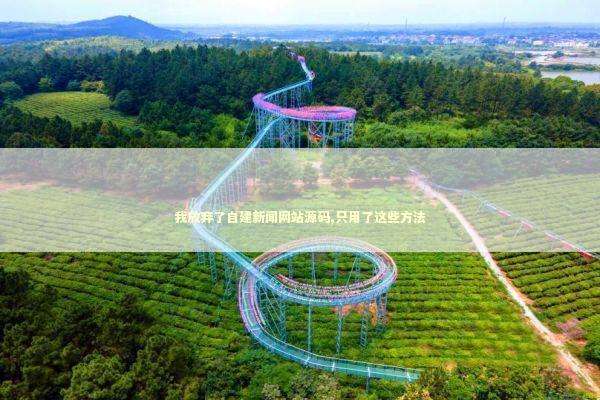 我放弃了自建新闻网站源码,只用了这些方法