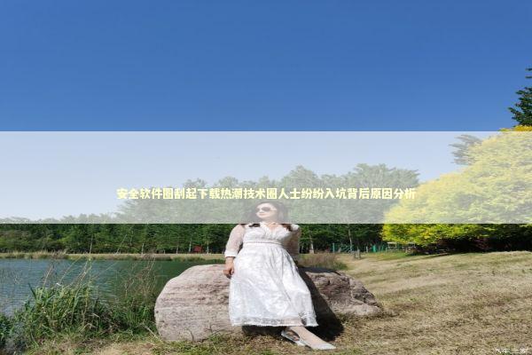 安全软件圈刮起下载热潮技术圈人士纷纷入坑背后原因分析 IT技术