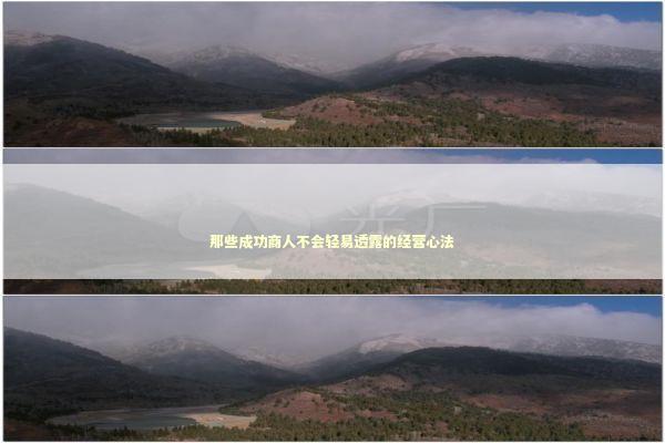 那些成功商人不会轻易透露的经营心法 企业服务