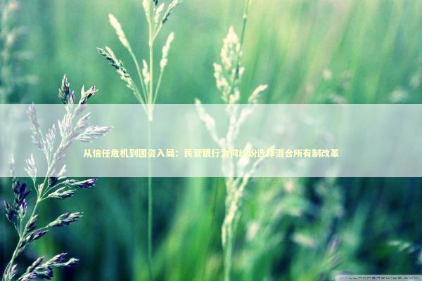 从信任危机到国资入局：民营银行为何纷纷选择混合所有制改革 股票财经