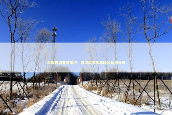 高端包袋鉴赏笔记：资深买手多年经验总结分享 时尚用品