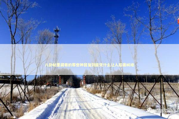 八卦帖里藏着的那些神回复到底凭什么让人拍案叫绝 娱乐新闻